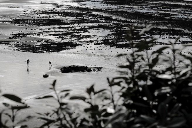 bKNE240720162788 mini